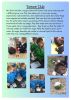 Gotham Primary Newsletter - 2