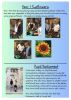 Gotham Primary Newsletter - 3