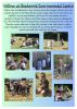 Gotham Primary Newsletter - 8