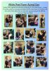 Gotham Primary Newsletter - 11